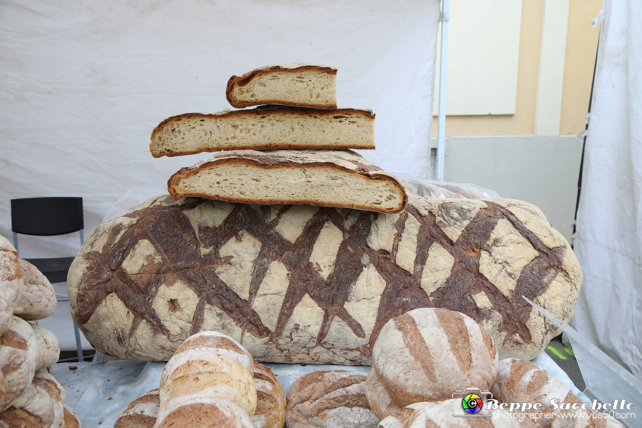 VBS_6181 - Fiera dei Santi - 12.ma Fiera Nazionale del Tartufo.jpg